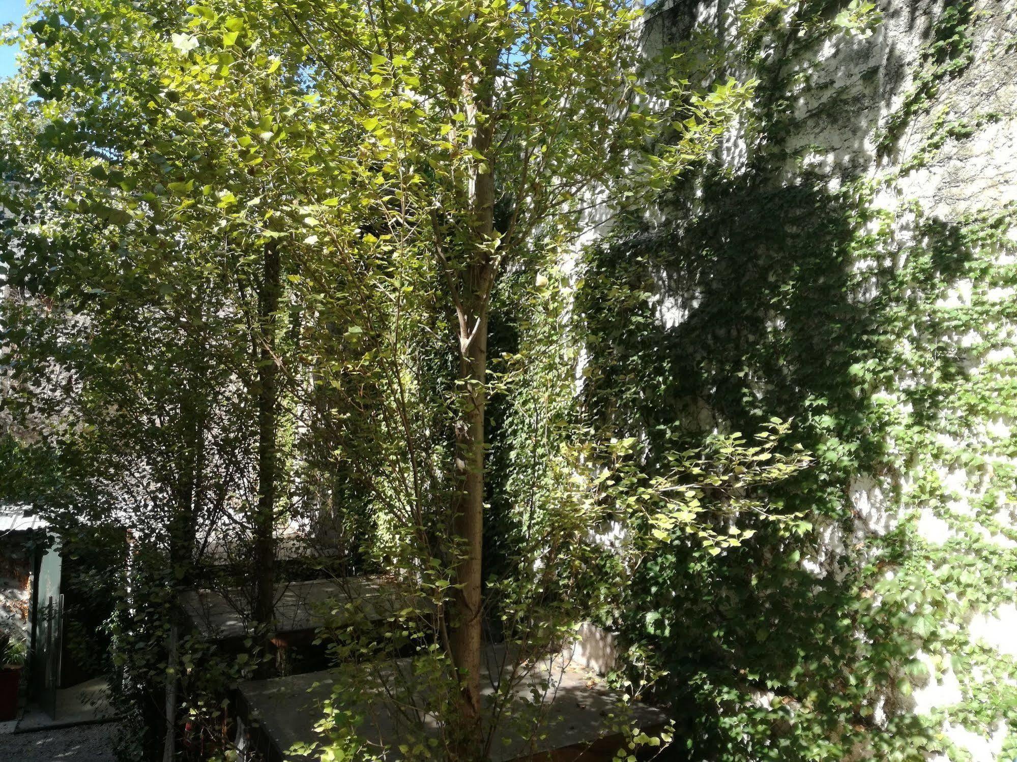 Feel Buenos Aires Apartments Zewnętrze zdjęcie